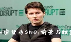 揭秘加密货币SND：前景与