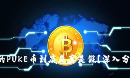  TP钱包的PUKE币到底是真是假？深入分析与解读
