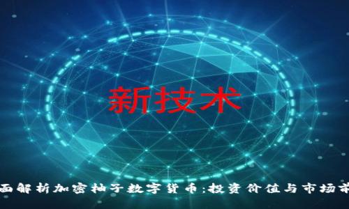全面解析加密柚子数字货币：投资价值与市场前景