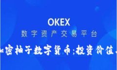 全面解析加密柚子数字货