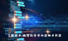 了解猫币：数字经济中的
