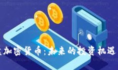 全面探讨磁盘加密货币：
