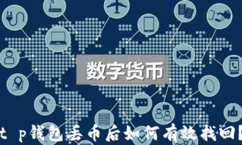 
t p钱包丢币后如何有效找回？