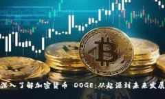 深入了解加密货币 DOGE：从