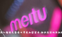  深入解析巴黎圣日耳曼加