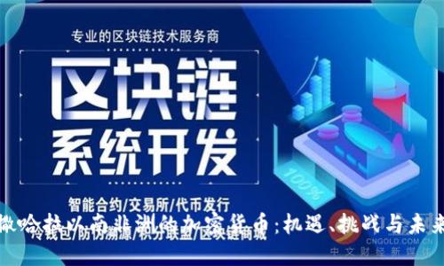 撒哈拉以南非洲的加密货币：机遇、挑战与未来