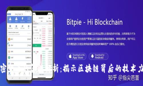 加密货币的算法解析：揭示区块链背后的技术力量