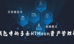 TP钱包中的多条HTMoon资产管