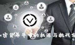  加密货币牛市的机遇与挑战分析