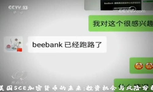 
美国SCE加密货币的未来：投资机会与风险分析