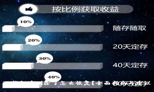 TP钱包币删除了怎么恢复？全面指南与建议