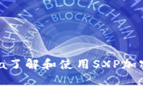 如何通过Visa了解和使用SXP加密货币的潜力？