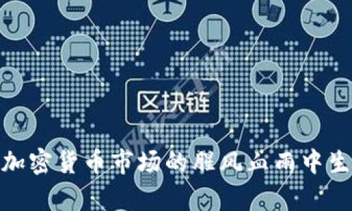 : 如何在加密货币市场的腥风血雨中生存与盈利