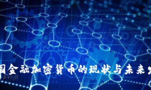 美国金融加密货币的现状与未来发展