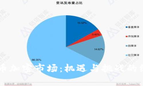 巴西货币加密市场：机遇与挑战的综合解析