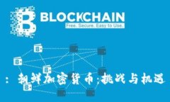 : 朝鲜加密货币：挑战与机
