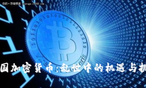 美国加密货币：乱世中的机遇与挑战