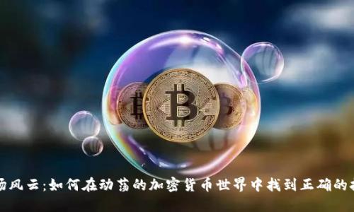 市场风云：如何在动荡的加密货币世界中找到正确的报价