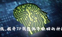 挑战传统，揭开TP钱包池子