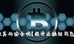 TokenPocket真的安全吗？揭开