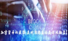 加密货币的疯狂：是时候逃离还是逆风翻盘？