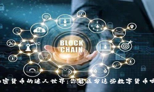 加密货币的迷人世界：你能区分这些数字货币吗？