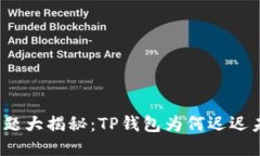 抹茶问题大揭秘：TP钱包为