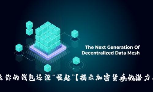 为什么你的钱包还没“崛起”？揭示加密货币的潜力与误区