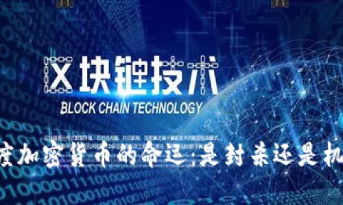 印度加密货币的命运：是封杀还是机遇?