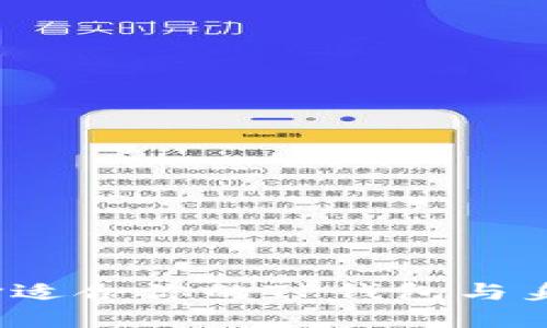 如何选择适合你的TP钱包与身份钱包？