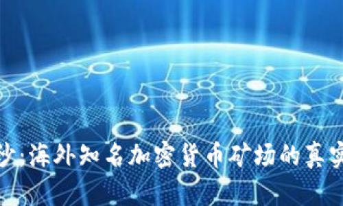 揭开神秘面纱：海外知名加密货币矿场的真实面貌与机遇