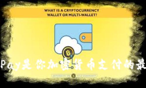 为何BitPay是你加密货币支付的最佳选择？