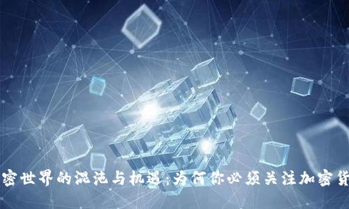 加密世界的混沌与机遇：为何你必须关注加密货币