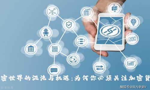加密世界的混沌与机遇：为何你必须关注加密货币