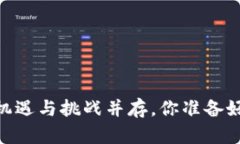 加密货币认筹：机遇与挑