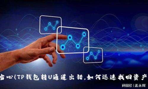 当心！TP钱包转U通道出错，如何迅速找回资产？