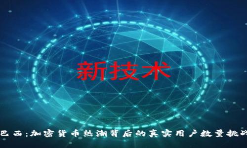 巴西：加密货币热潮背后的真实用户数量挑战