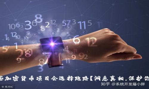 为何一些加密货币项目会选择跑路？洞悉真相，保护你的投资！