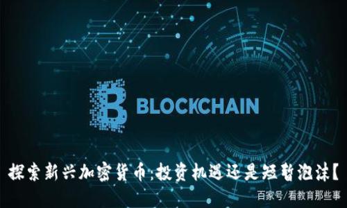 探索新兴加密货币：投资机遇还是短暂泡沫？