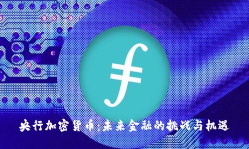 央行加密货币：未来金融的挑战与机遇
