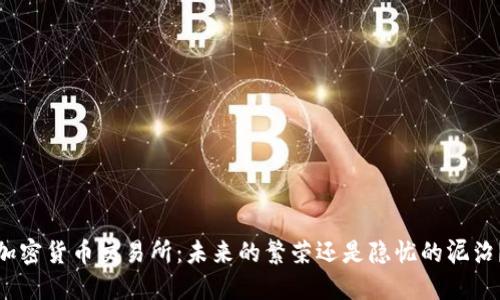 加密货币交易所：未来的繁荣还是隐忧的泥沼？