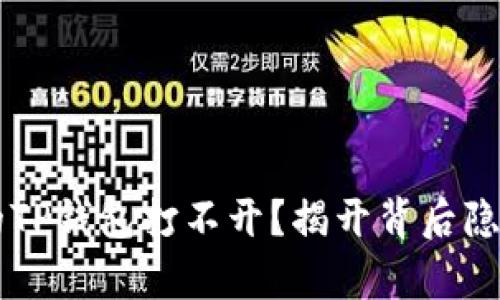 为何你的TP钱包打不开？揭开背后隐藏的真相
