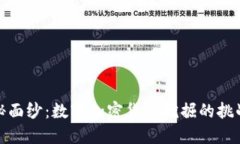 揭开神秘面纱：数字加密