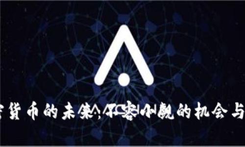 zarTRX加密货币的未来：不容小觑的机会与严峻的挑战