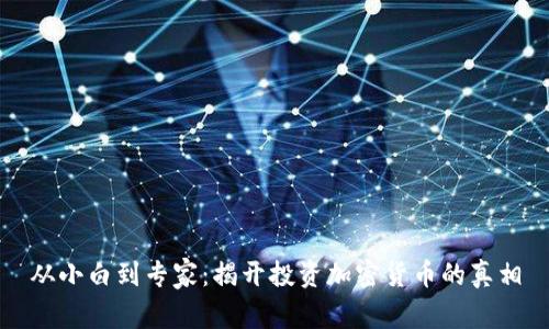 从小白到专家：揭开投资加密货币的真相