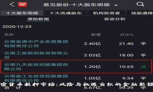 加密货币抵押市场：风险与机遇交织的金融新领域