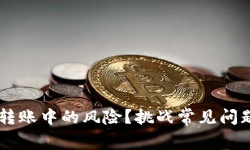 如何防止TP钱包转账中的风险？挑战常见问题，保护您的资产！
