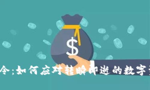 TP钱包禁令：如何应对转瞬即逝的数字资产自由？