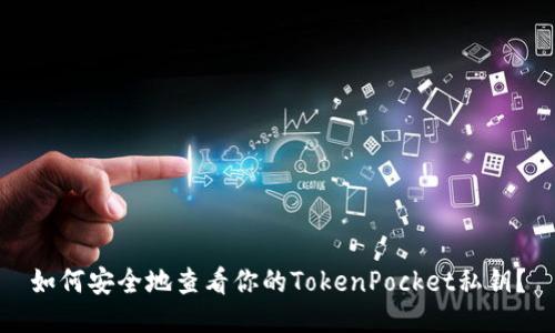 如何安全地查看你的TokenPocket私钥？