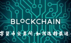 最大加密数字货币交易所：如何选择最适合你的